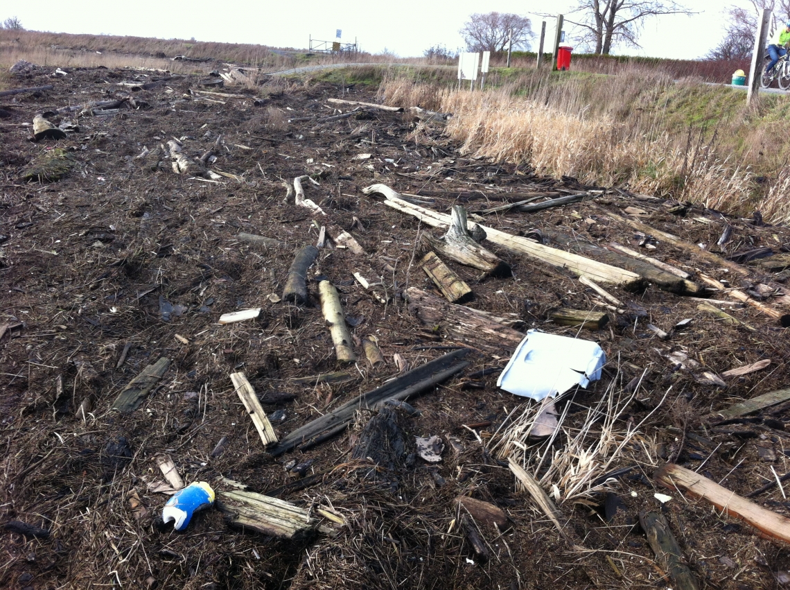 Boundary Bay Log Debris Dec 21 2014.jpg