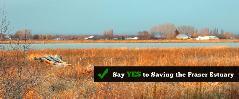 Say YES to Saving the Fraser Estuary