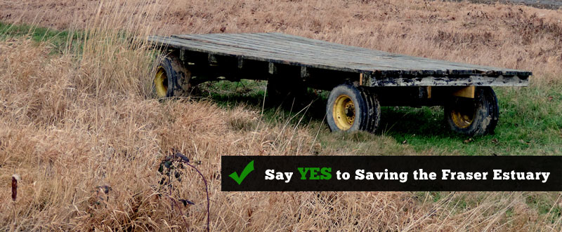 Say YES to Saving the Fraser Estuary